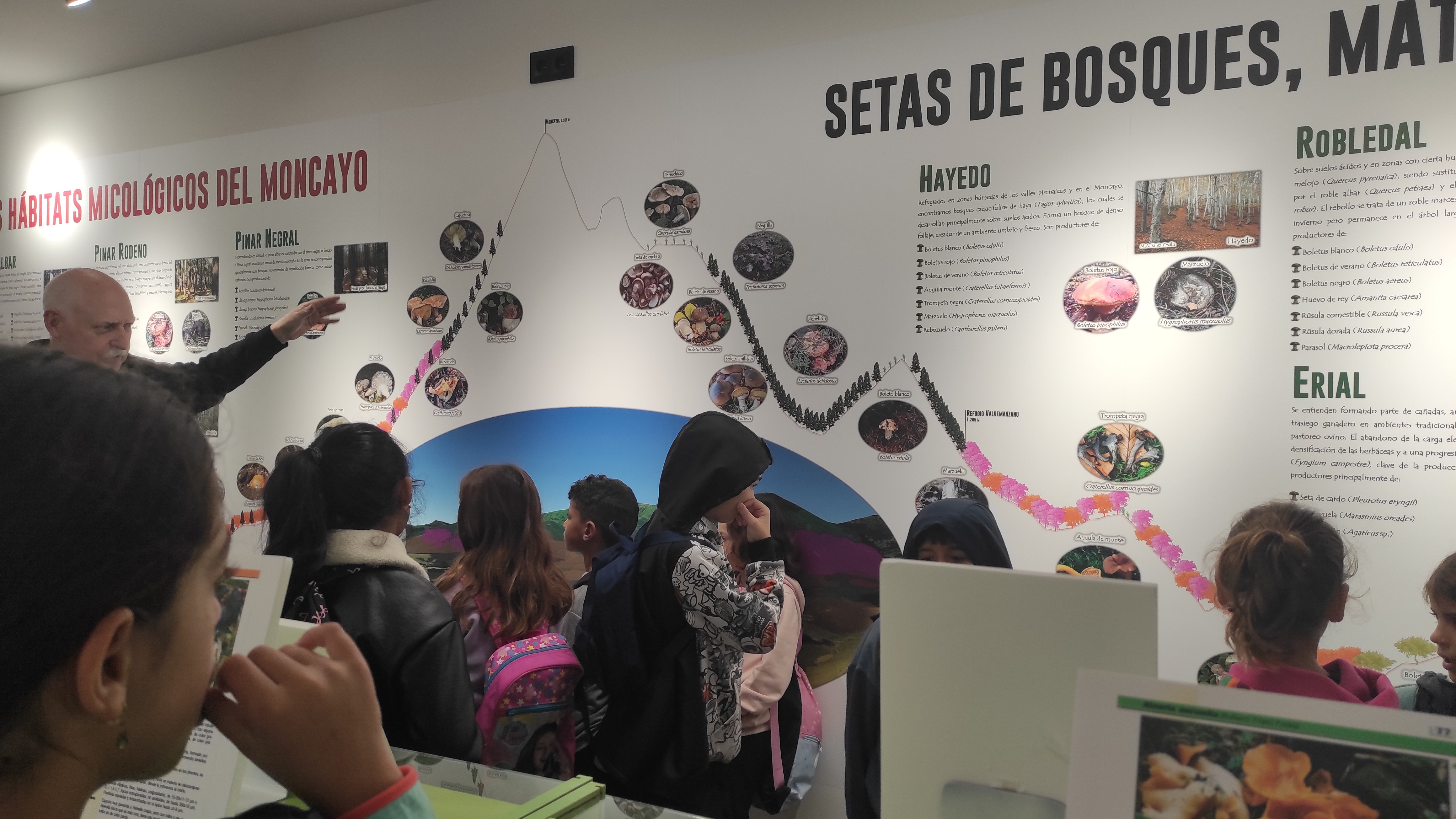 Copia de IMG_20251030_102650.jpg